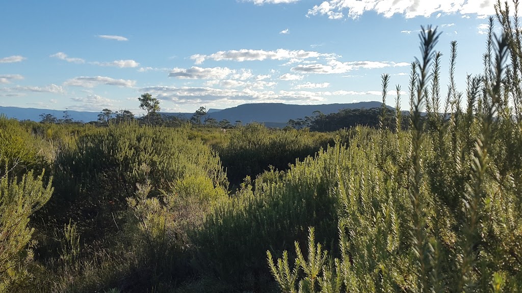 Morton National Park - Little Forest & Florance Head | park | Florance Head Firetrail, Porters Creek NSW 2538, Australia