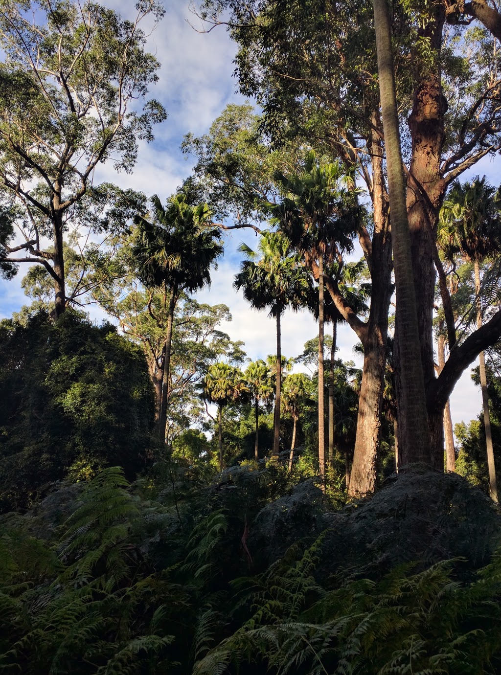 Cabbage Tree Creek Flora Reserve. | park | Cabbage Tree Creek VIC 3889, Australia | 131963 OR +61 131963