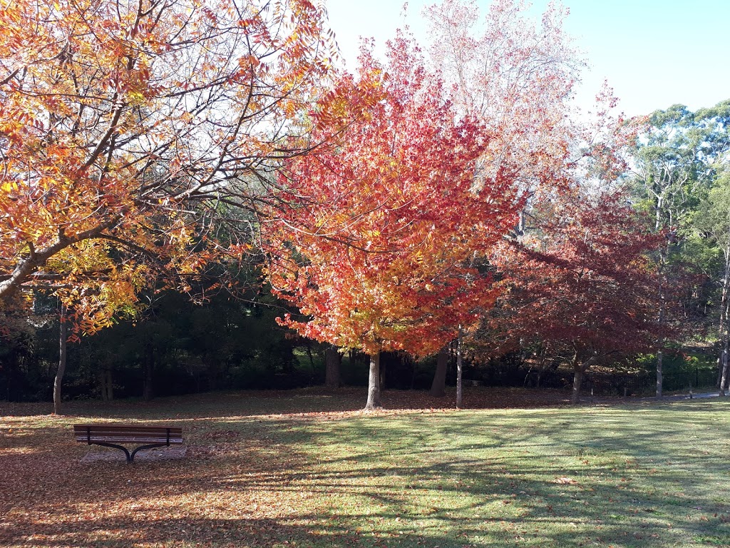 Little Digger Park | park | Archbold Rd & Roseville Ave, Roseville NSW 2069, Australia