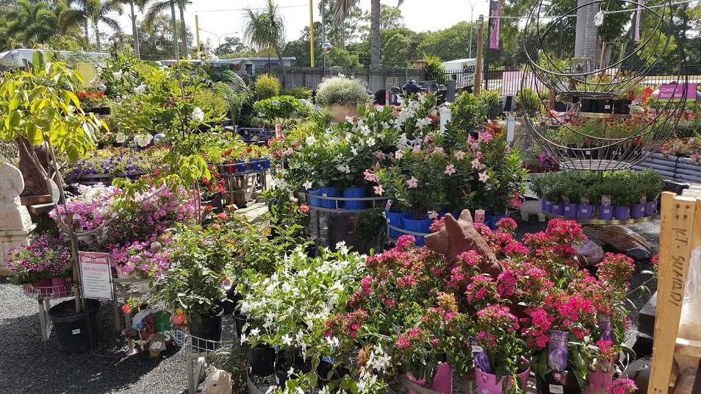 Redcliffe Garden Centre - 47/49 Snook St, Clontarf QLD 4019, Australia