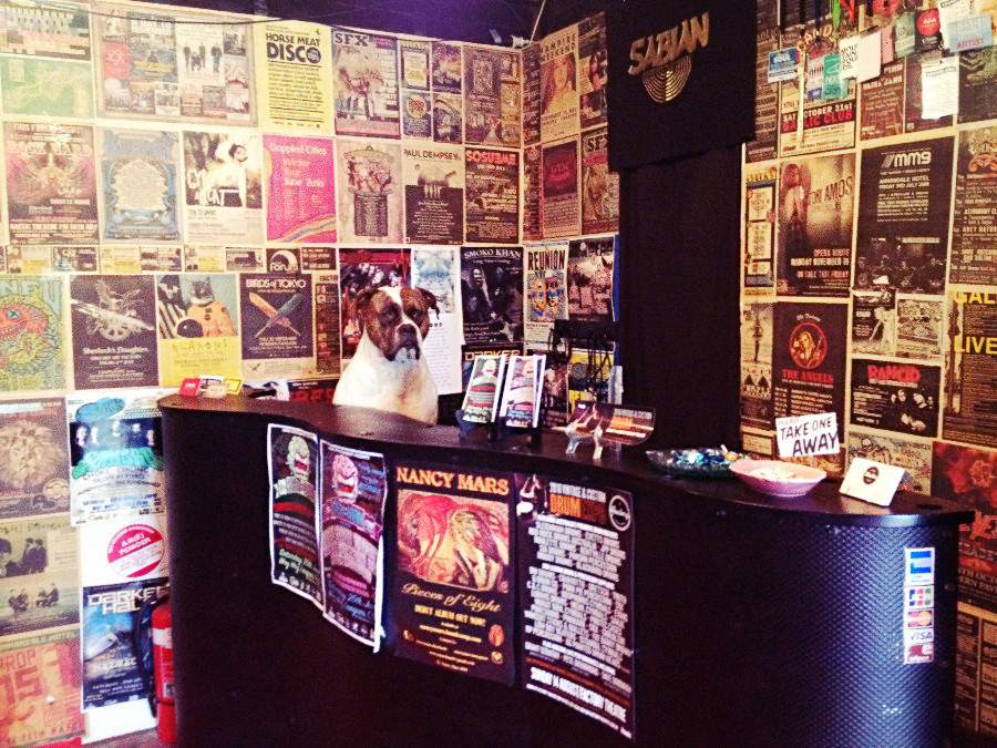 Ivory Lane Studios | 9/5 Daintree Pl, West Gosford NSW 2250, Australia | Phone: 0435 268 334