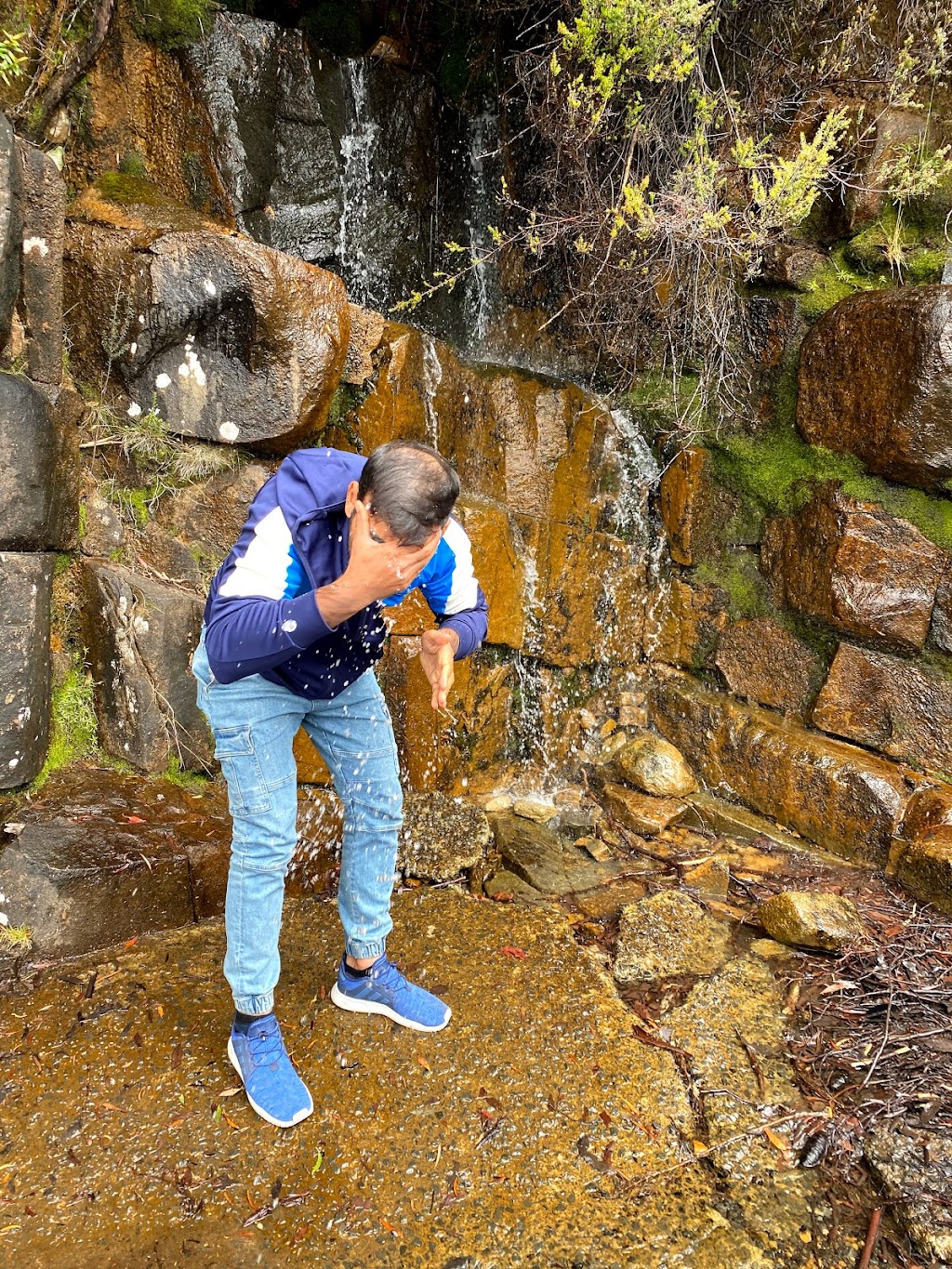 OGrady Falls | tourist attraction | Betts Vale Track, Wellington Park TAS 7054, Australia | 1300827727 OR +61 1300 827 727