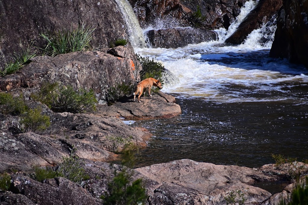 Rockpools View walk | Boonoo Boonoo Falls Walk, Boorook NSW 2372, Australia | Phone: (02) 6739 0700