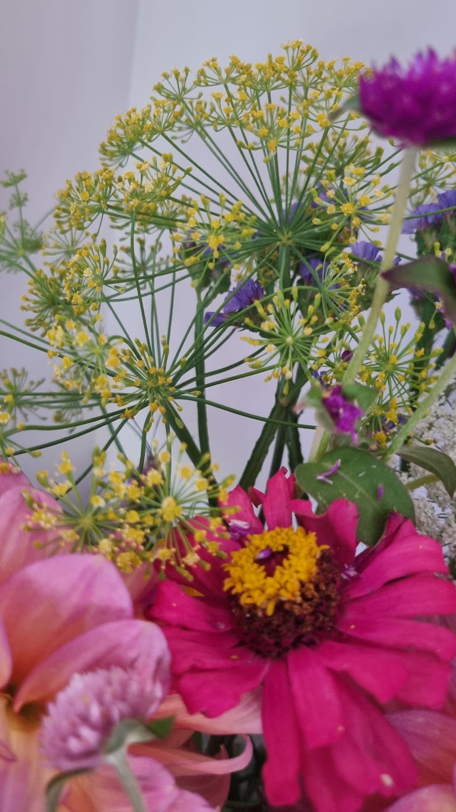 Blooms on View Flower Farm | 2299 Mount Mee Rd, Ocean View QLD 4521, Australia | Phone: 0434 828 825