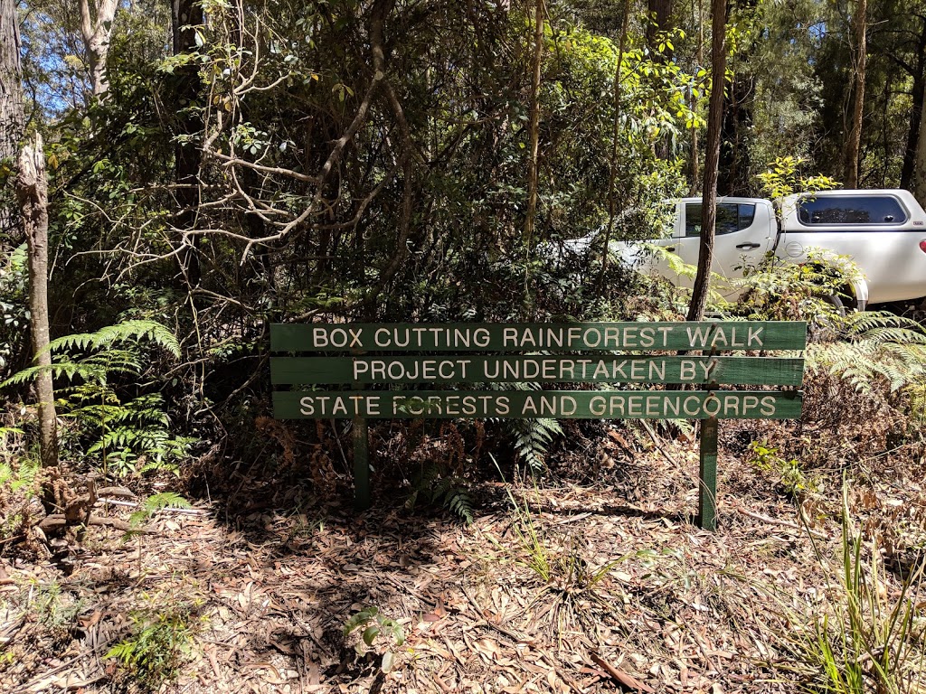 Box Cutting Rainforest Walk | park | Box Cutting Rd, Kianga NSW 2546, Australia