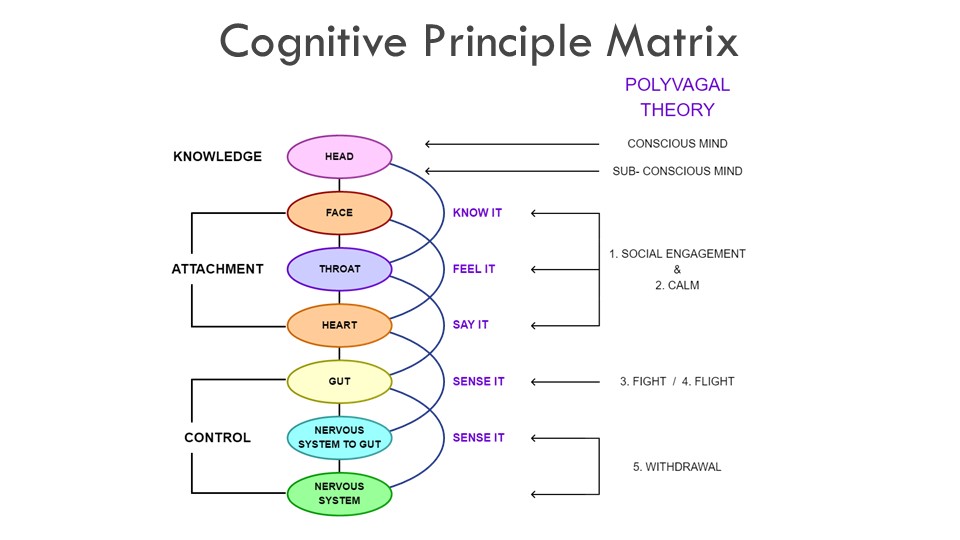 Cognitive Principle Matrix | Suite 1, 1st Floor/64-66 Kingsway, Glen Waverley VIC 3150, Australia | Phone: 0408 579 312