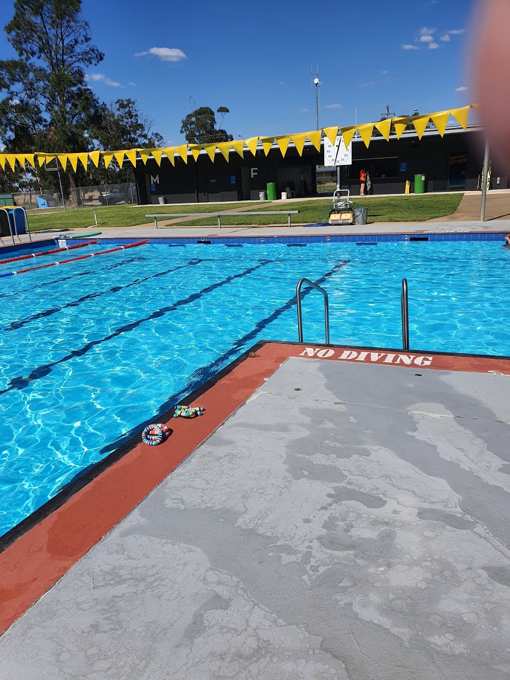 Finley Swimming Pool | 1-19 Murray St, Finley NSW 2713, Australia | Phone: (03) 5883 1070