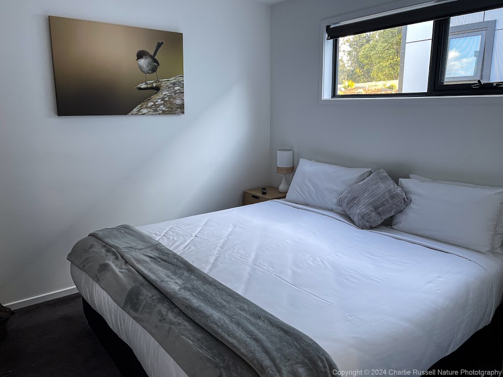 Mt Field Retreat | 17 Lake Dobson Rd, National Park TAS 7140, Australia | Phone: 0467 744 357