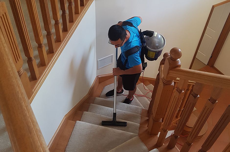 5 Stars Central Coast Cleaning Services |  | 21 Michaela Rd, Terrigal NSW 2260, Australia | 0420598595 OR +61 420 598 595