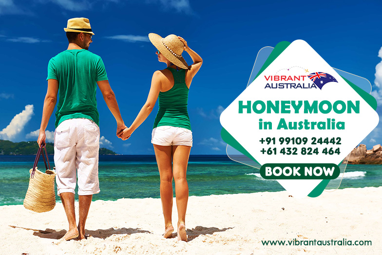 VIBRANT TOURS PTY LTD. | travel agency | 29 Jezebel St, The Ponds NSW 2769, Australia | 0432824464 OR +61 432 824 464