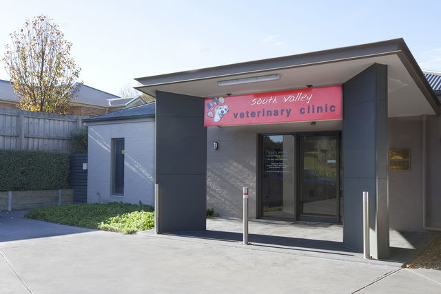 South Valley Veterinary Clinic | veterinary care | 193 S Valley Rd, Highton VIC 3216, Australia | 0352444202 OR +61 3 5244 4202