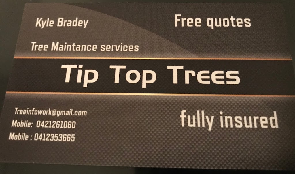 Tip Top Trees |  | Bli Bli QLD 4560, Australia | 0421261060 OR +61 421 261 060