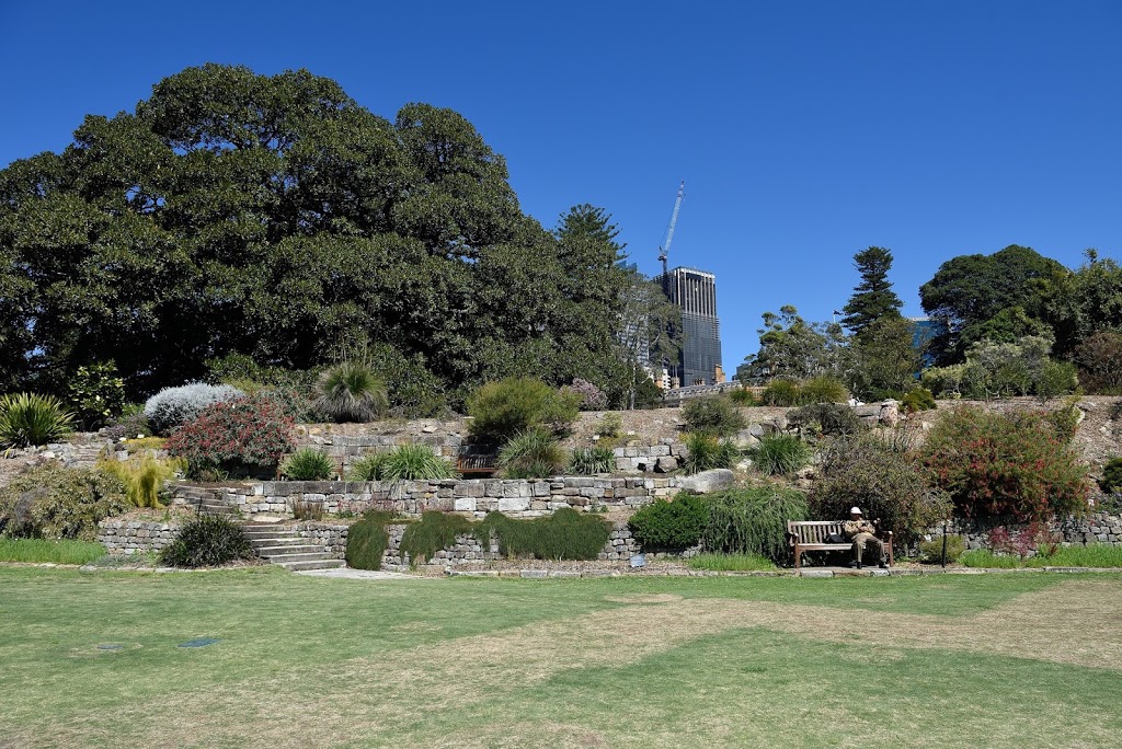 Australian Rockery Lawn, Royal Botanic Gardens | park | 2A Macquarie St, Sydney NSW 2000, Australia