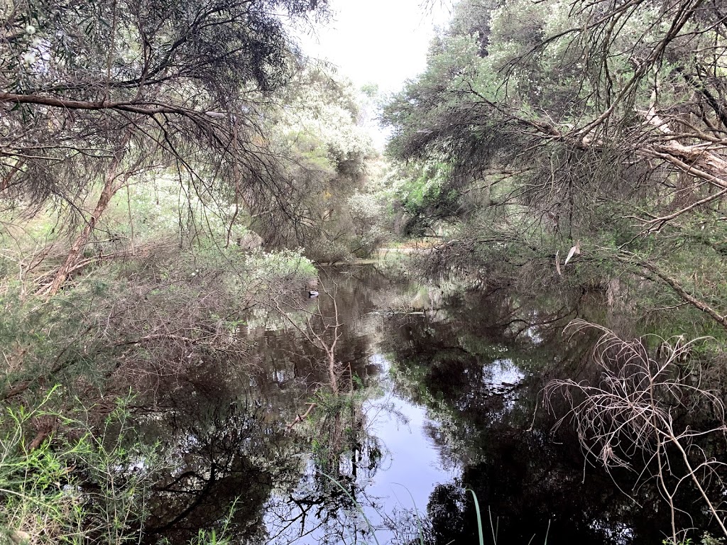 Ashwood Wetlands | park | Ashwood VIC 3147, Australia