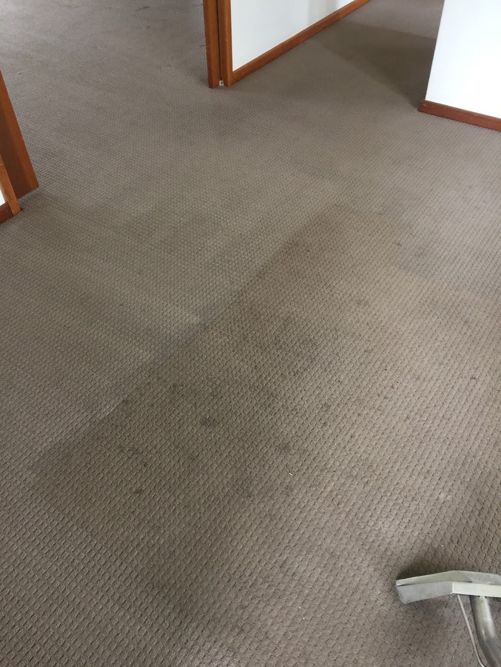 Empire carpet cleaning | 44 Green Point Dr, Belmont NSW 2280, Australia | Phone: 0488 756 369