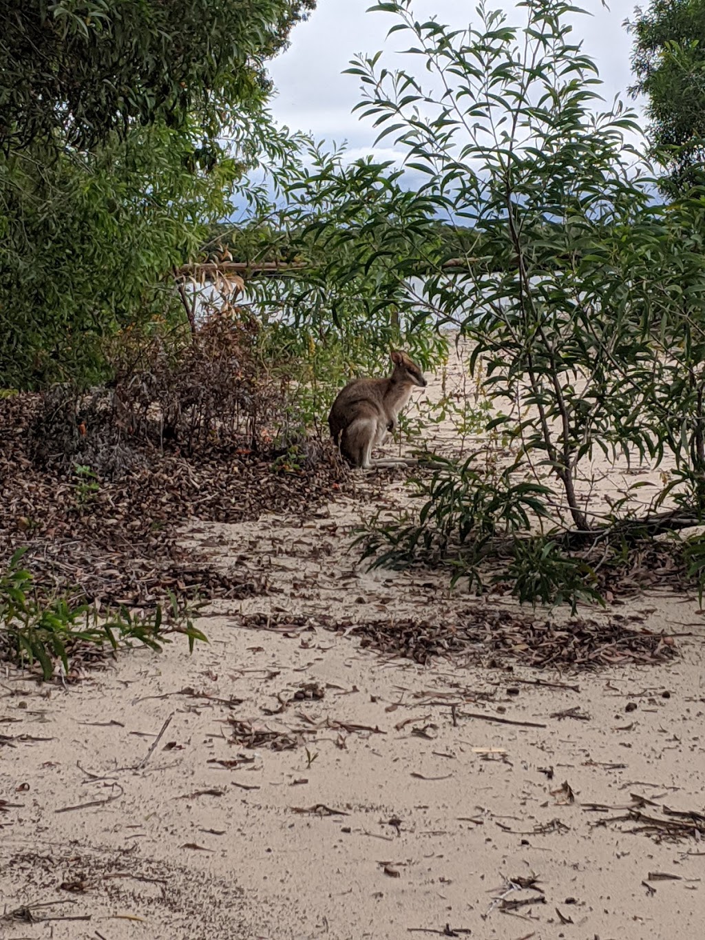 An Island Hideaway | LOT 60 Island St, South Stradbroke Island QLD 4216, Australia | Phone: (07) 5577 1112