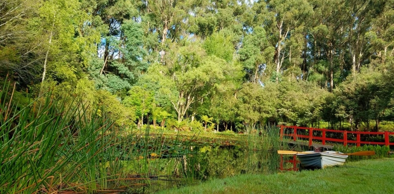 Giverny Estate — Kiwi Fruit Winery | food | 69 Cherrys Ln, Toolangi VIC 3777, Australia | 0452486328 OR +61 452 486 328