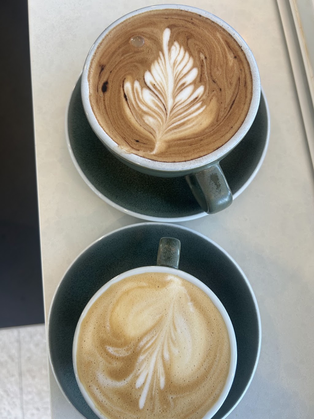 Beach Bums | 136 Carlton Beach Rd, Dodges Ferry TAS 7173, Australia | Phone: 0405 108 082