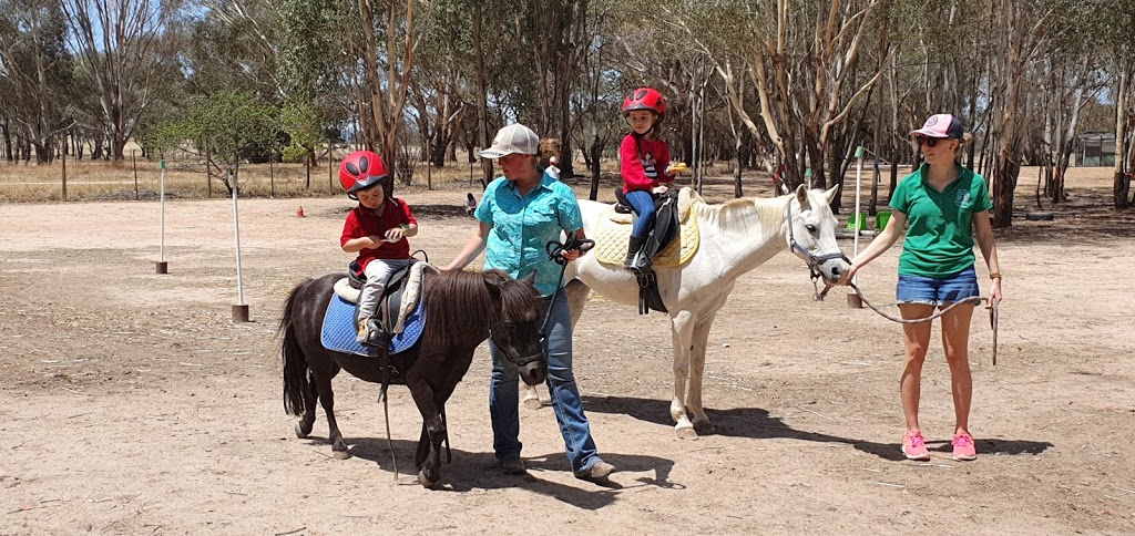 Bits & Boots Pony Rides |  | 263 Quartz Hill Rd, Jindera NSW 2642, Australia | 0408864234 OR +61 408 864 234