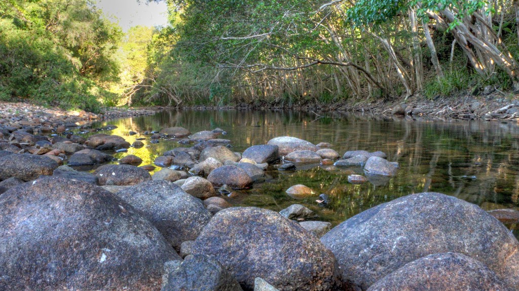 Abergowrie State Forest | Broadwater Park Rd, Abergowrie QLD 4850, Australia