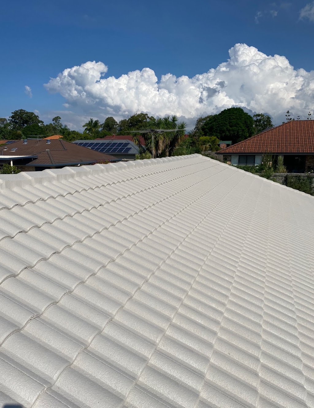 Rainbird Roof Restorations | roofing contractor | 12 Stonehaven Pl, Narangba QLD 4504, Australia | 0424238025 OR +61 424 238 025