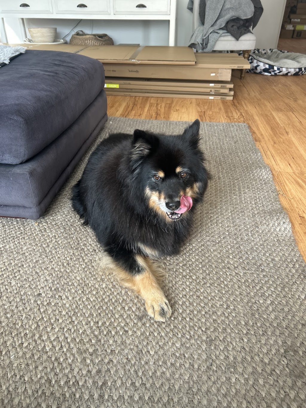 Barks and Bubbles Pet Pawtique | 135 Maidens Brush Rd, Wyoming NSW 2250, Australia | Phone: 0452 501 182