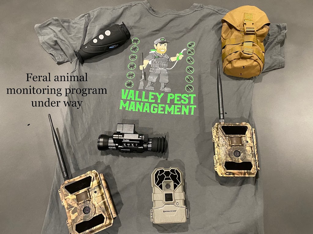Valley Pest Management | Unit 8/369 Maitland Rd, Cessnock NSW 2325, Australia | Phone: 0407 779 957