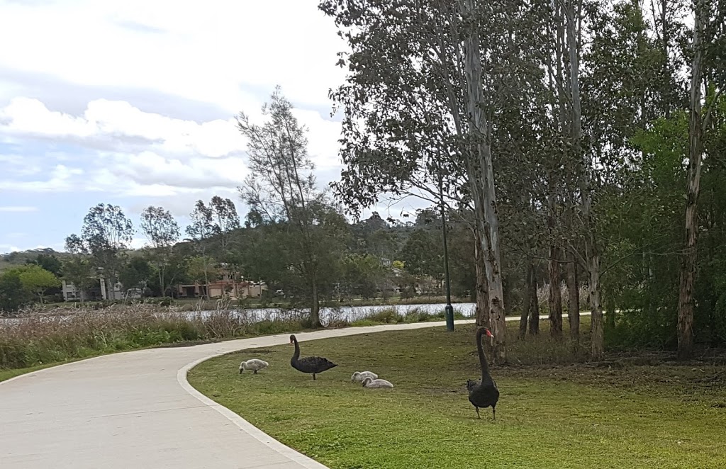 Swan Reserve | park | Swan Ct, Harrington Park NSW 2567, Australia | 0246547777 OR +61 2 4654 7777