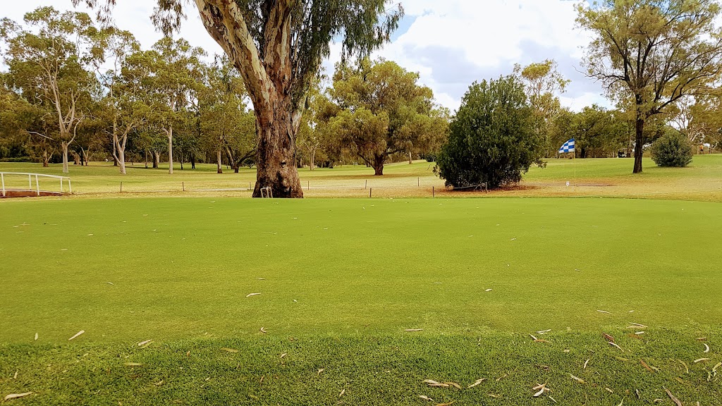 Moree Golf Club | school | 2 Greenbah Rd, Moree NSW 2400, Australia | 0267521405 OR +61 2 6752 1405