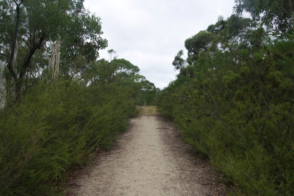 voyager point new south wales