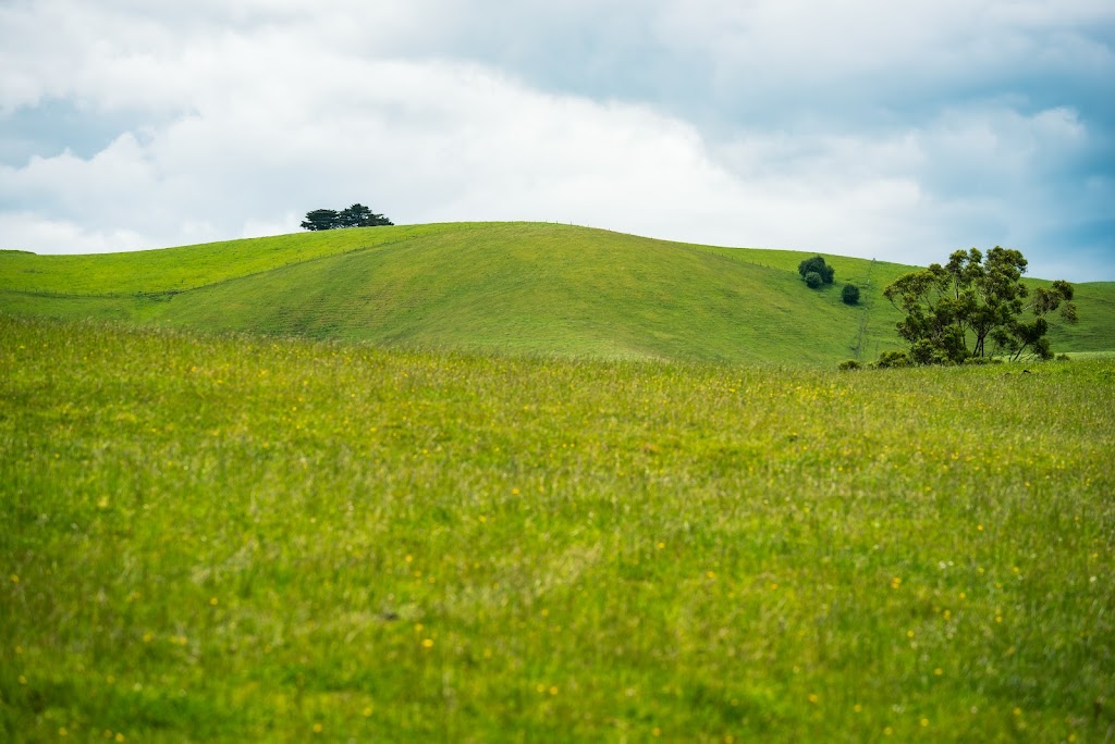 Cooks Hill Views | 58 Stuart St, Korumburra VIC 3950, Australia | Phone: 0419 513 188