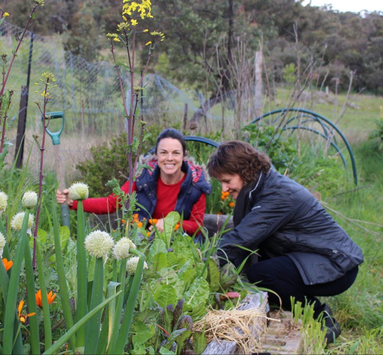 Food2Soil | 141 Freshford Rd, Paddys River ACT 2620, Australia | Phone: 0418 249 295