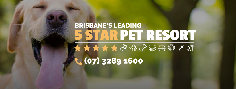 North Brisbane Pet Resort | lodging | 64 Beresford Dr, Draper QLD 4520, Australia | 0732891600 OR +61 7 3289 1600
