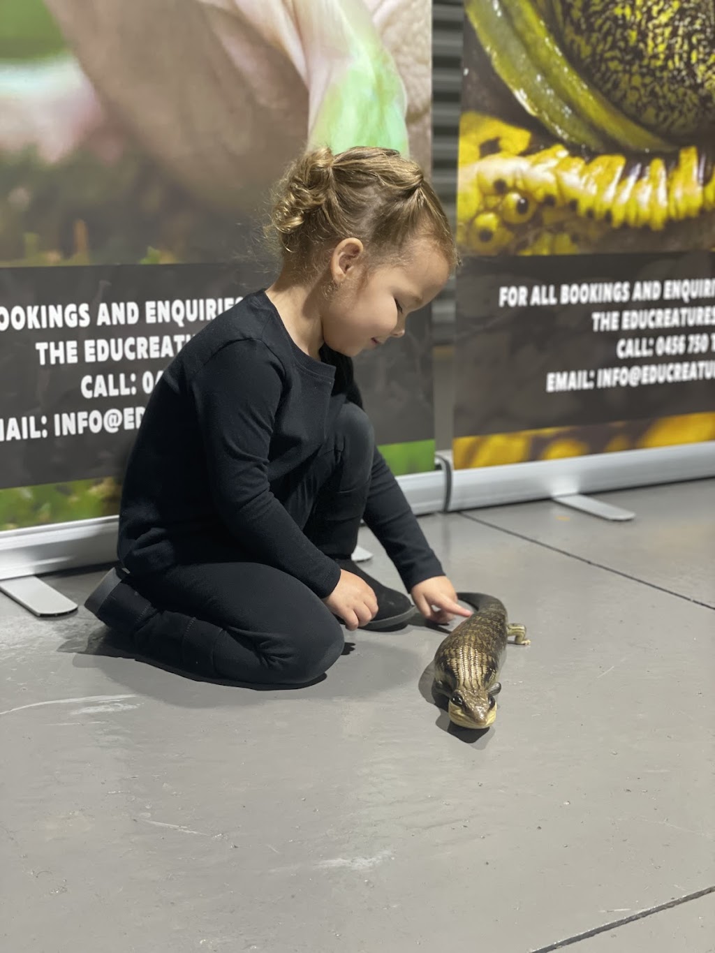 Educreatures | Bacchus Marsh Rd, Bacchus Marsh VIC 3340, Australia | Phone: 0456 750 127