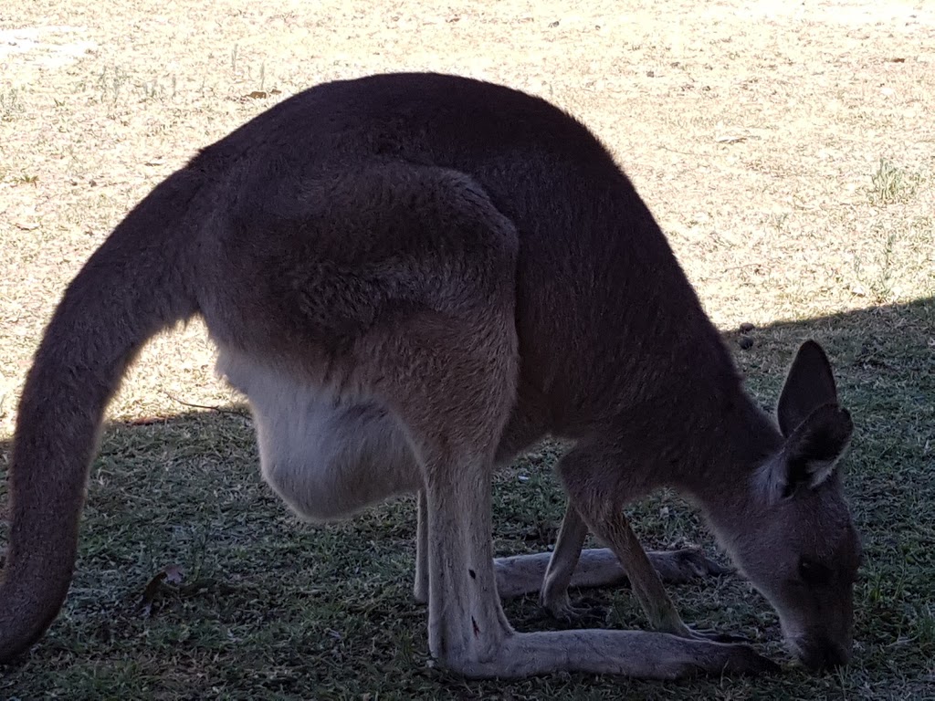 Glenlyon Dam Tourist Park | campground | Glenlyon QLD 4380, Australia