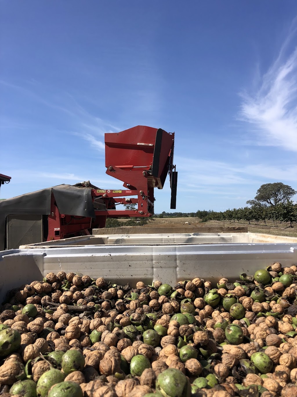 Rainbow Creek Nuts | 72 Weir Rd, Cowwarr VIC 3857, Australia | Phone: 0458 220 122