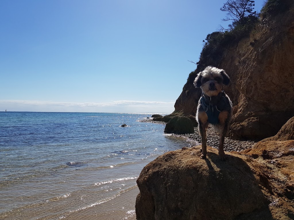 Dog Friendly Beach - Tassells Cove | park | Marine Dr, Safety Beach VIC 3936, Australia