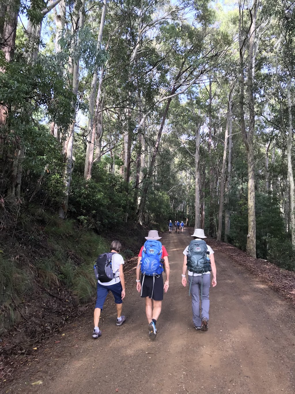 Tilba Walks Heritage Talks Walking Tours | The Meeting Spot, Corkhill Dr, Central Tilba NSW 2546, Australia | Phone: 0433 114 374