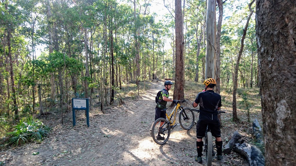 Tewantin National Park | park | Tinbeerwah QLD 4563, Australia