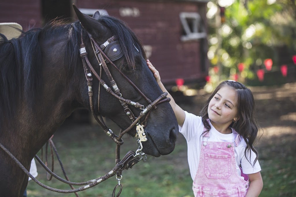 Equestrian Me - Rivermill Riding Academy | 950 Beaudesert Nerang Rd, Mount Nathan QLD 4211, Australia | Phone: (07) 3703 1307