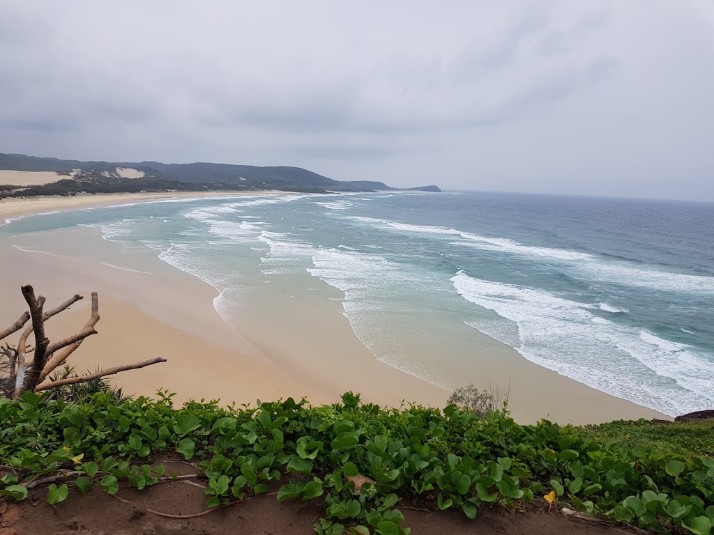 Dingos Fraser Island 4WD Tours | 20 Spectrum St, Rainbow Beach QLD 4581, Australia | Phone: (08) 8131 5750