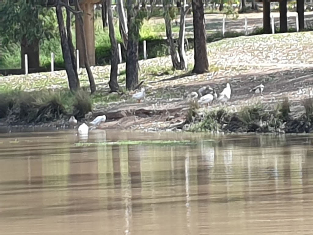 Miles parkrun | Warrego Hwy &, Leichhardt Hwy, Miles QLD 4415, Australia