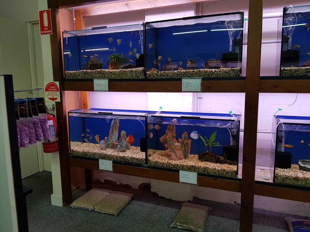 View Aquarium Pet Shop Canberra - Wayang Pets