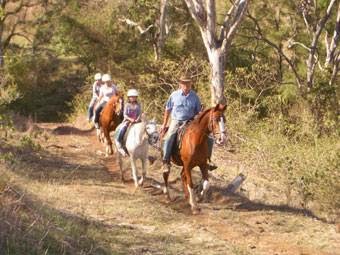 Cedar Glen Farmstay | lodging | 3338 Kerry Rd, Darlington QLD 4285, Australia | 0755448170 OR +61 7 5544 8170