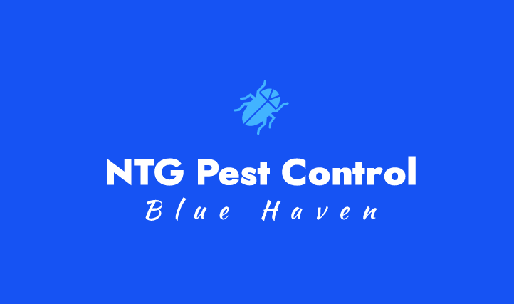 NTG Pest Control Blue Haven | 33 NTG, Manooka Rd, Point Clare NSW 2250, Australia | Phone: (02) 7253 2858