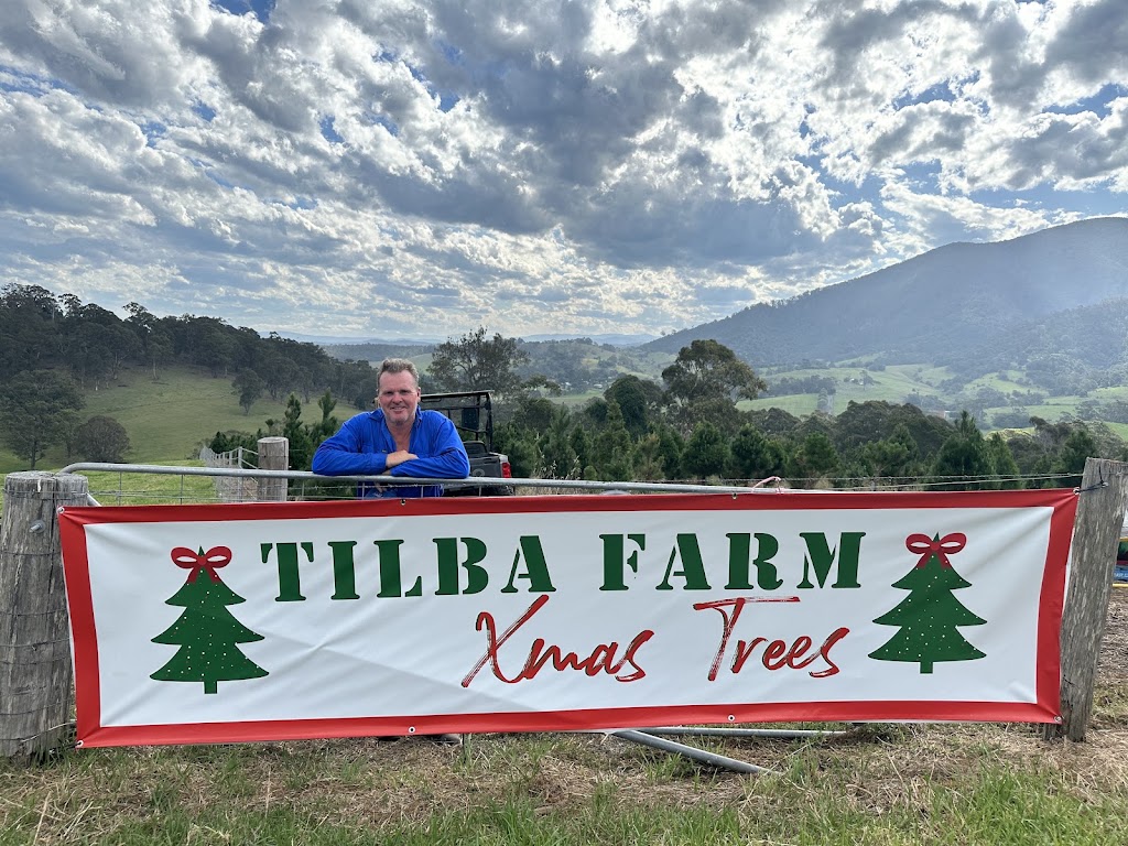 Tilba Farm XMAS Trees | Sherringham Ln, Central Tilba NSW 2546, Australia | Phone: 0411 198 944