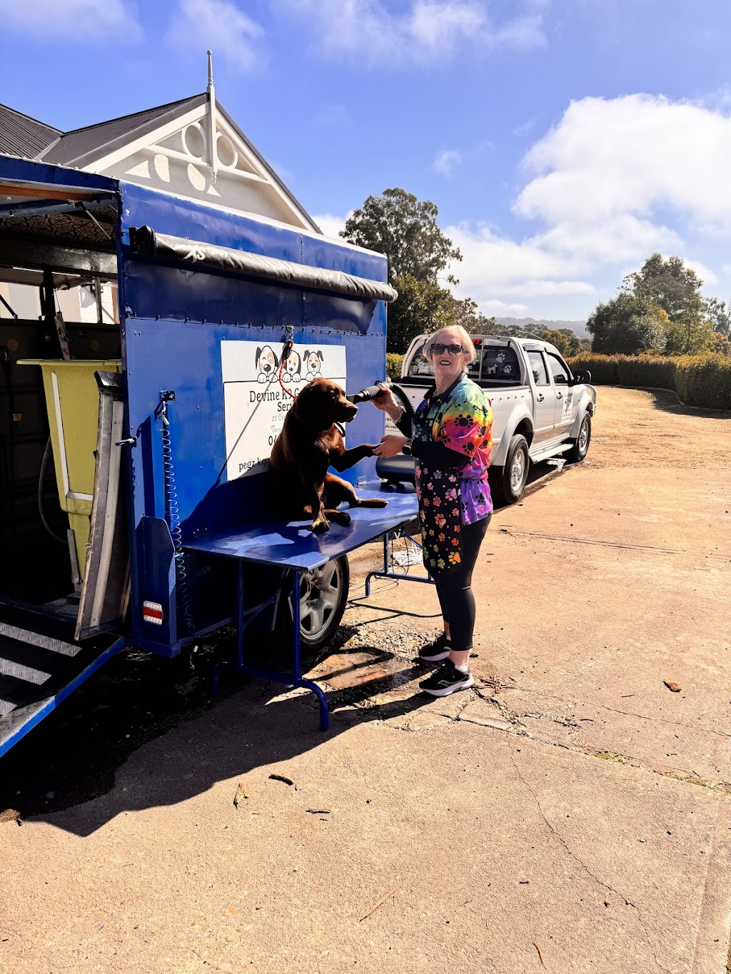 Devine K9 Grooming Service | 22 Crawford Ave, Tenambit NSW 2323, Australia | Phone: 0408 166 002