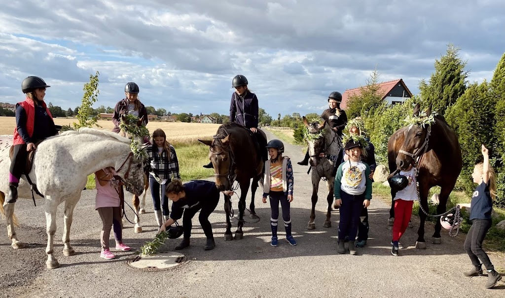 Horses and us | 554 Kyogle Rd, Byangum NSW 2484, Australia | Phone: 0400 915 424
