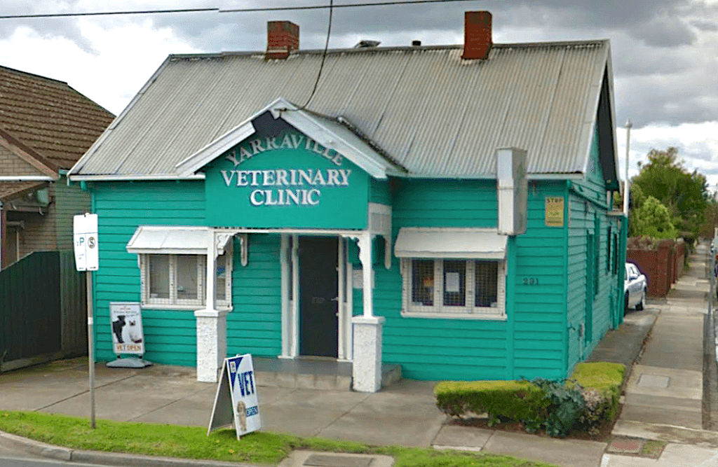 Yarraville Veterinary Clinic | veterinary care | 291 Williamstown Rd, Yarraville VIC 3013, Australia | 0393148945 OR +61 3 9314 8945