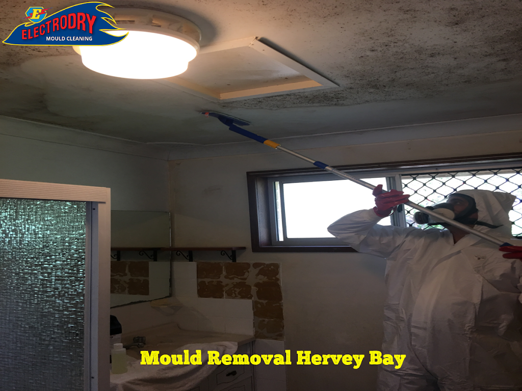 Electrodry Mould Removal Hervey Bay | home goods store | 1/9 Hastings St, Noosa Heads QLD 4567, Australia | 1300132713 OR +61 1300 132 713
